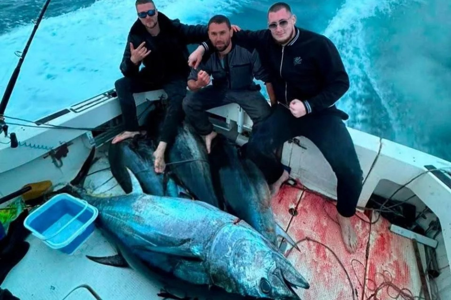 Акулы пришли к берегам Дальнего Востока вслед за тунцом. https://max.ru/novosti/AZ61oAL9ICI. Фотография 2