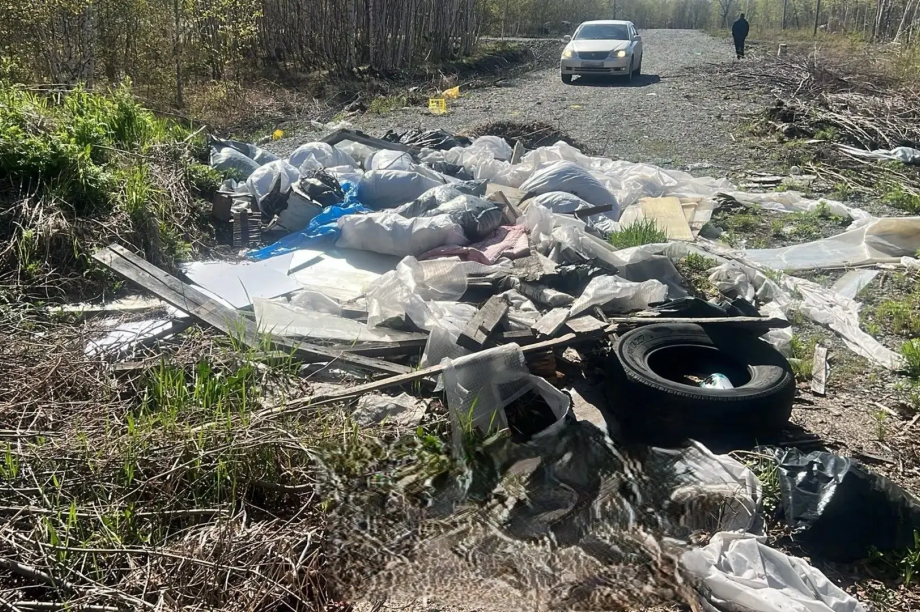 В Елизовском округе с помощью камер ликвидируют незаконные свалки. Фото: Администрация ЕМО. Фотография 2